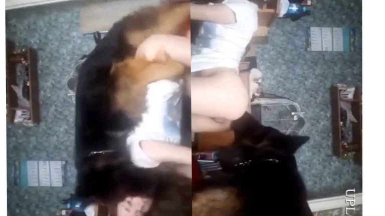 Viral Porn Video - Teen Lets Her Dog Fuck Her and Lick Her Anus